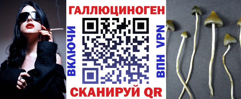 дарнет шоп  Долинск  Галлюциногенные грибы Psilocybe 